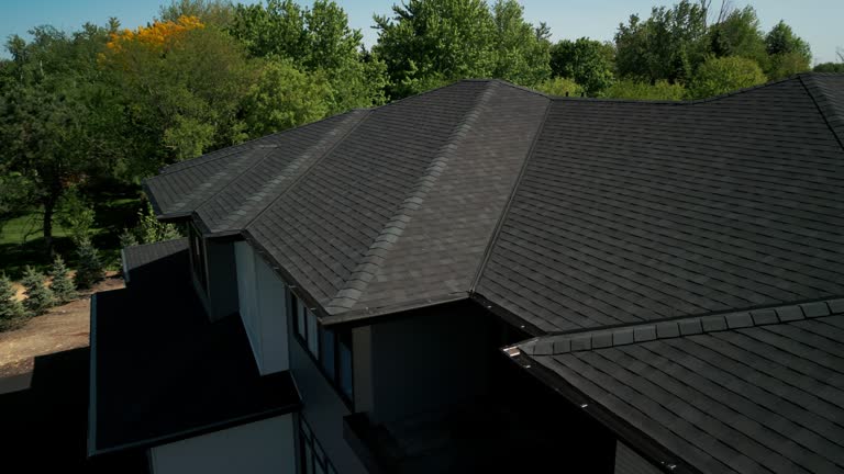 Best Green or Eco-Friendly Roofing Solutions  in Summerville, SC